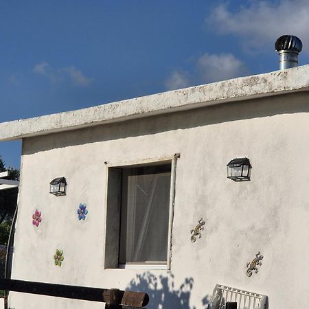 Villa Elvira Country House Belvedere Marittimo Exterior photo